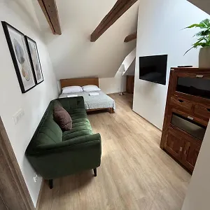  Apartahotel Masná 20 - Old Town